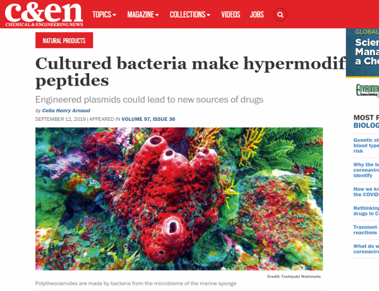 Article in c&en Cultured bacteria make hypermodified peptides