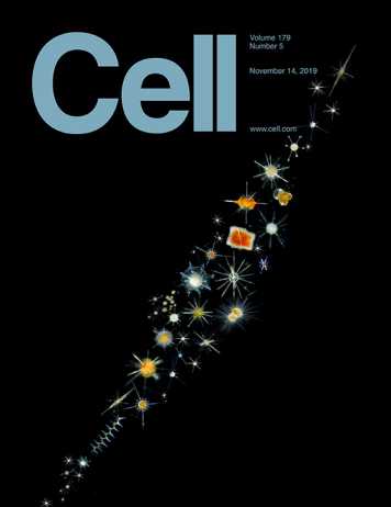 Cell_2019