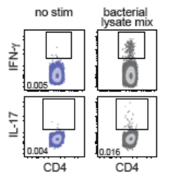Zimmermann et al., 2015
