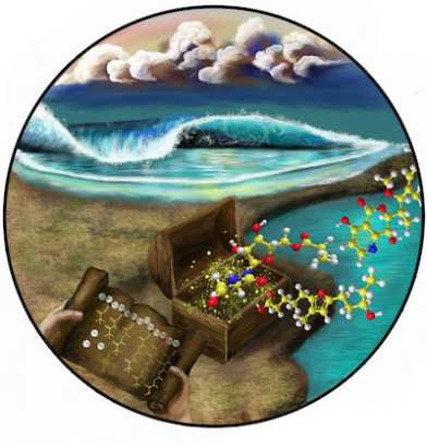 chemical treasures from the sea