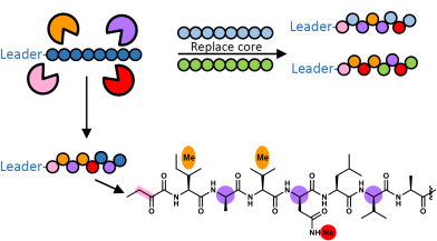 Illustration Image