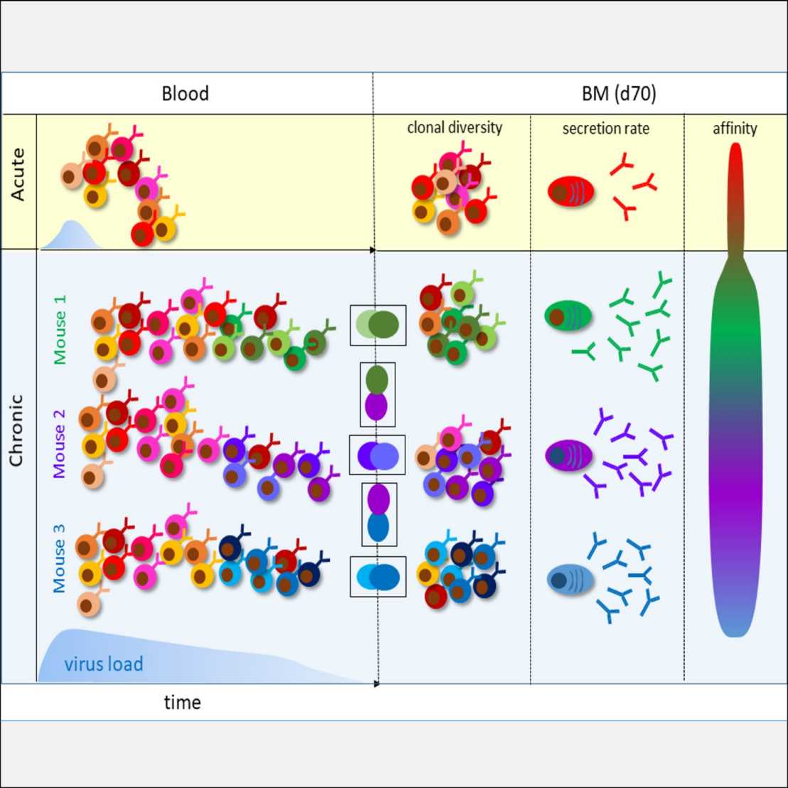 microbiology eth