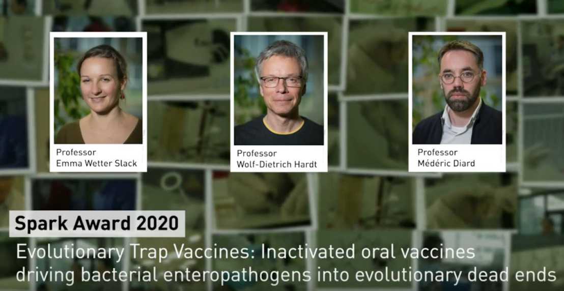 Enlarged view: Nominees Prof. Slack, Prof. Hardt, Prof. Diard