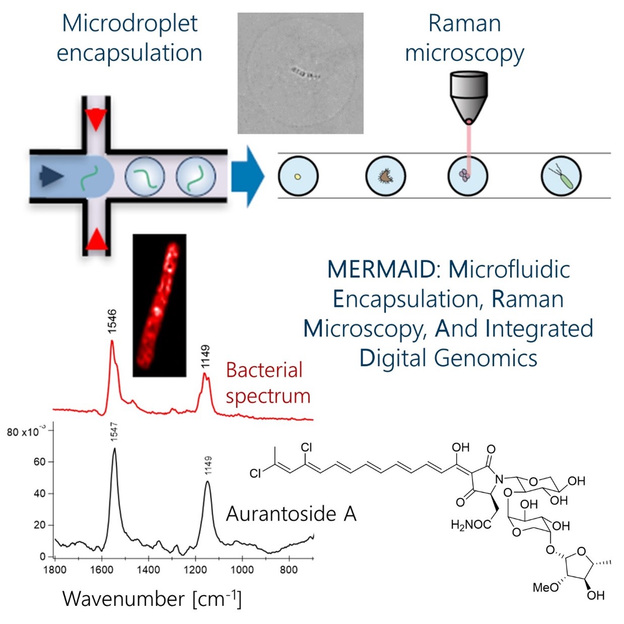 New PNAS Nexus Paper by the Piel Lab Institute of Microbiology ETH Zurich