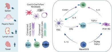 eth microbiology