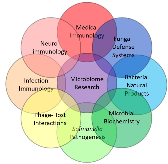 Research Topics
