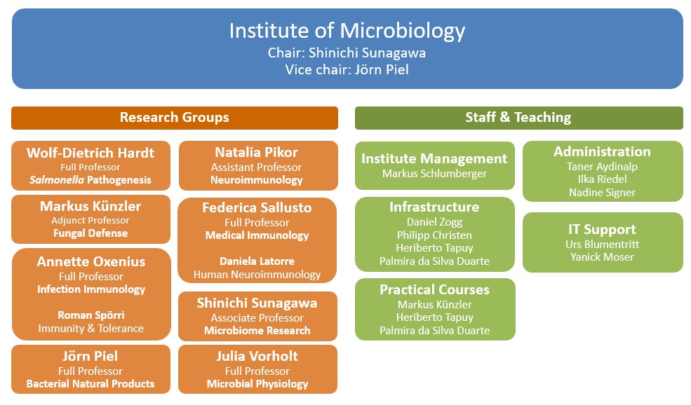 Enlarged view: Organigram of the Institute of Microbiology