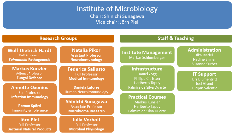 Enlarged view: Organigram of the Institute of Microbiology