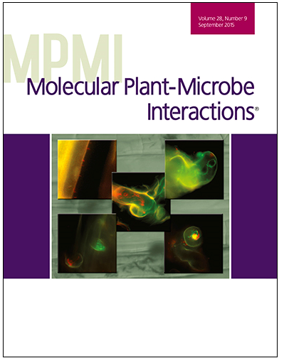 Enlarged view: MPMI Journal Cover Image