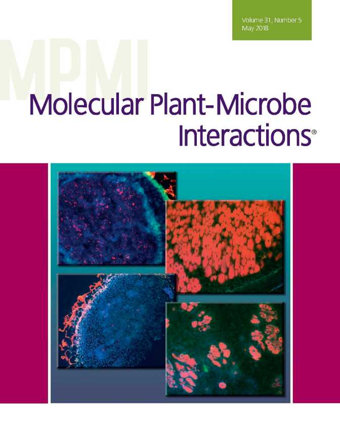 Enlarged view: MPMI Journal May 2018 Cover