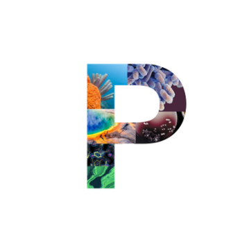x Piel Lab