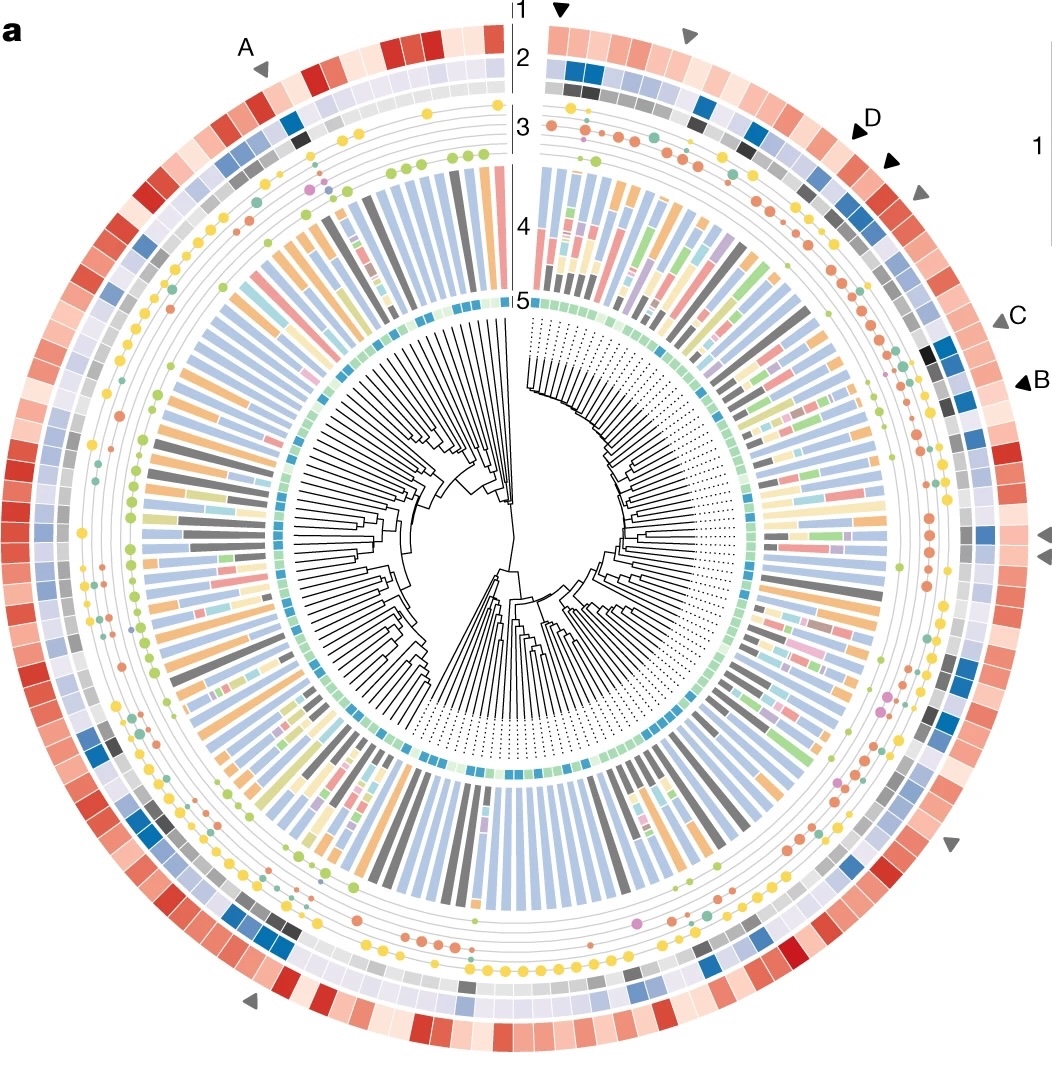 Novelty and phylogenomic distribution of the ocean microbiome biosynthetic potential.