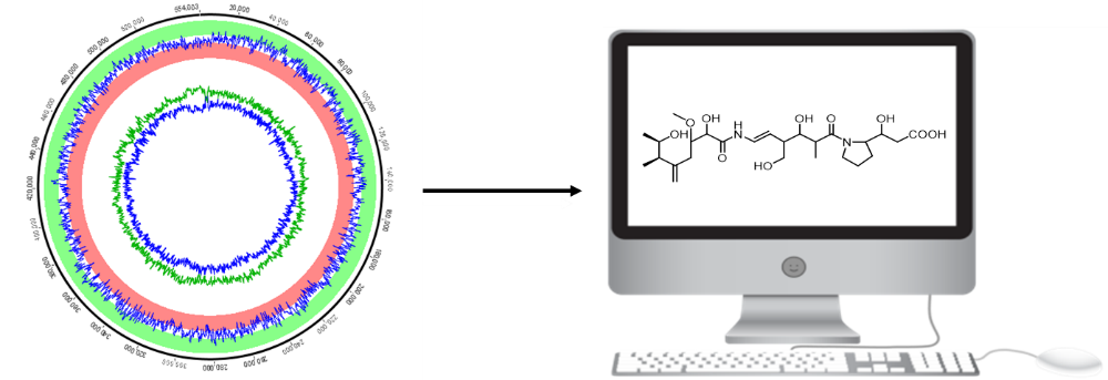 Enlarged view: Natural product discovery by genome mining